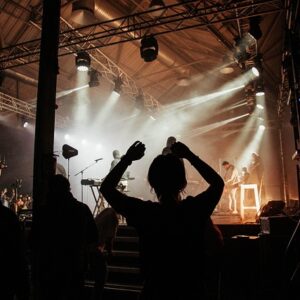 Musikfestivaler 2024: Her er de største oplevelser du ikke må gå glip af