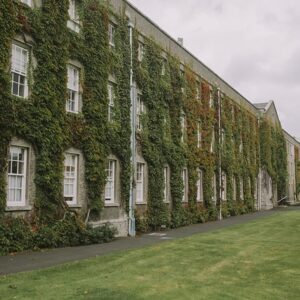 Ungdomsrejser med højskoleophold styrker fællesskab og kompetencer